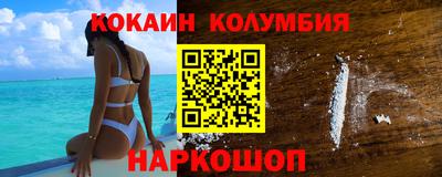 гашик Кингисепп