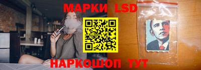 гашик Кингисепп
