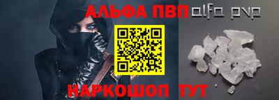 гашик Кингисепп