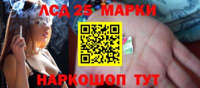 винт Кимры