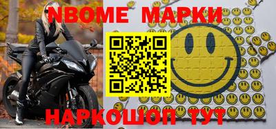 гашик Кингисепп
