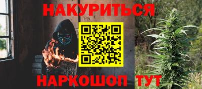 гашик Кингисепп