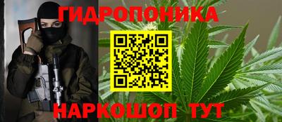 стафф Кинель