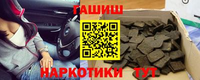 гашик Кингисепп